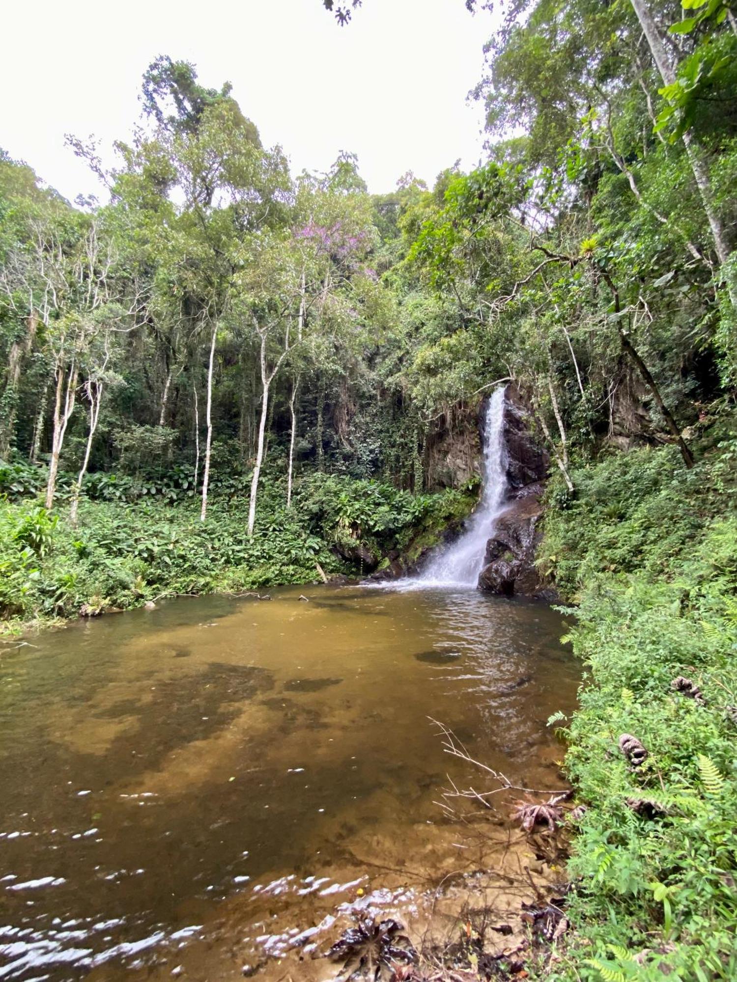 Chales Fazenda Floresta Das Araucarias Кунья Экстерьер фото
