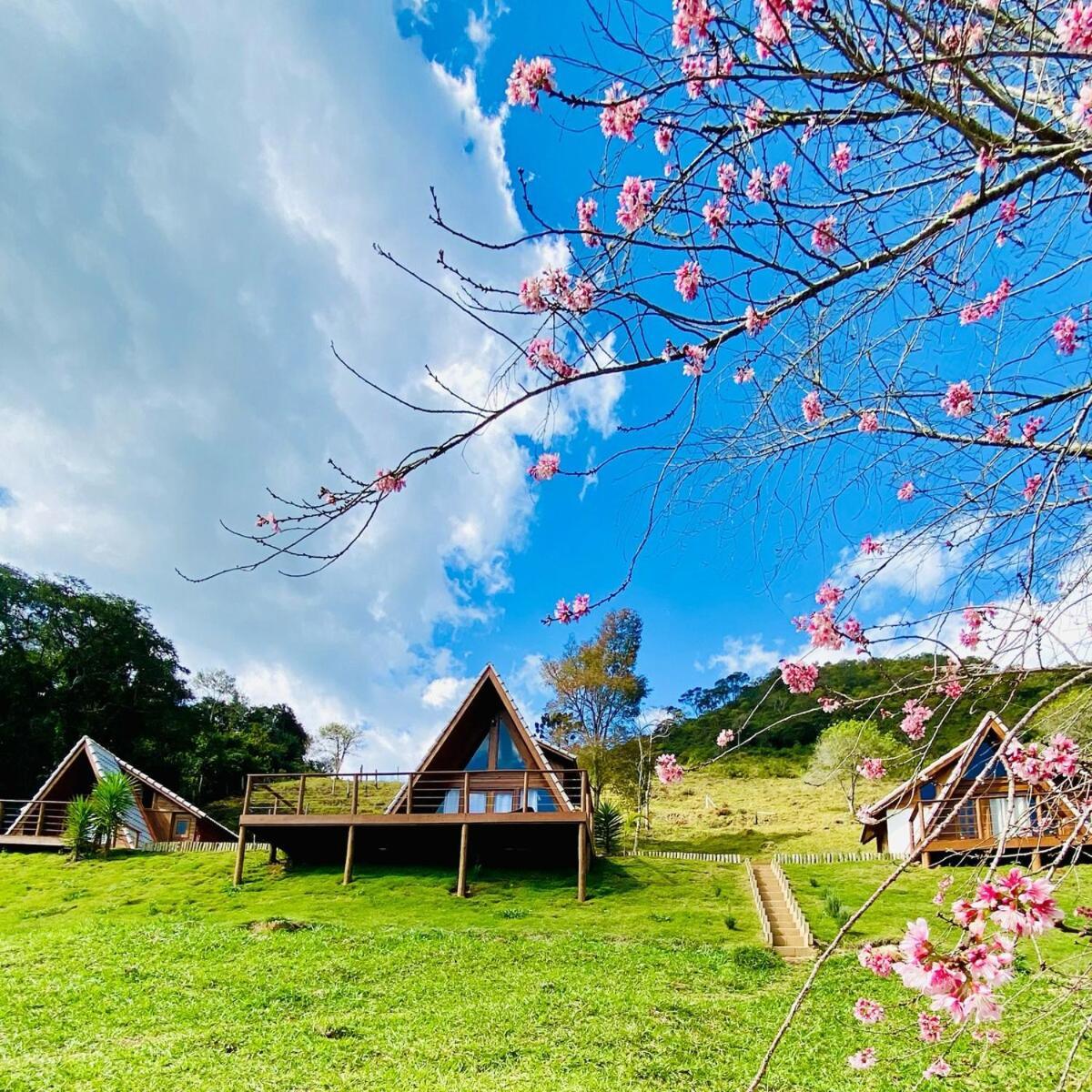 Chales Fazenda Floresta Das Araucarias Кунья Экстерьер фото