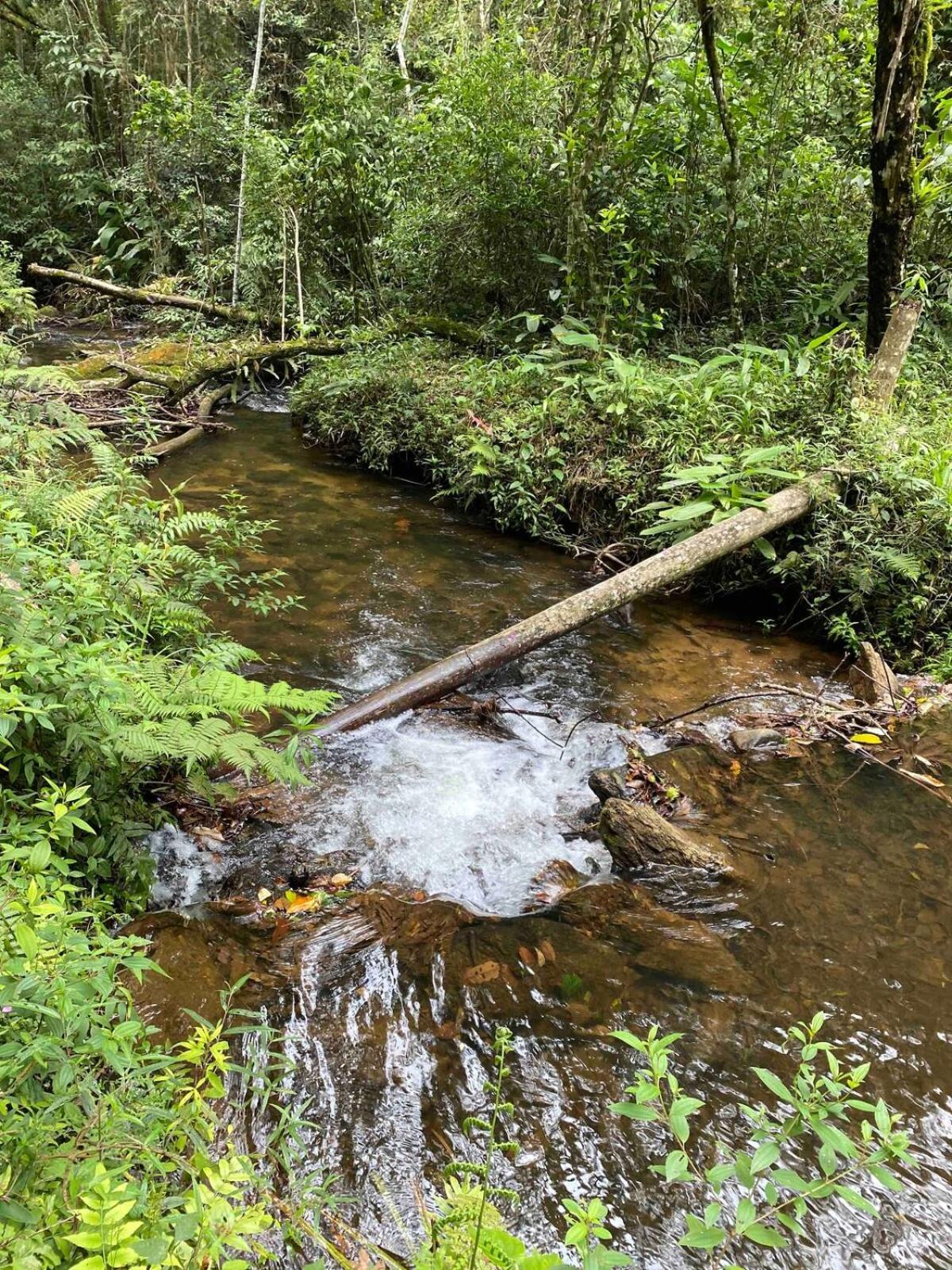 Chales Fazenda Floresta Das Araucarias Кунья Экстерьер фото